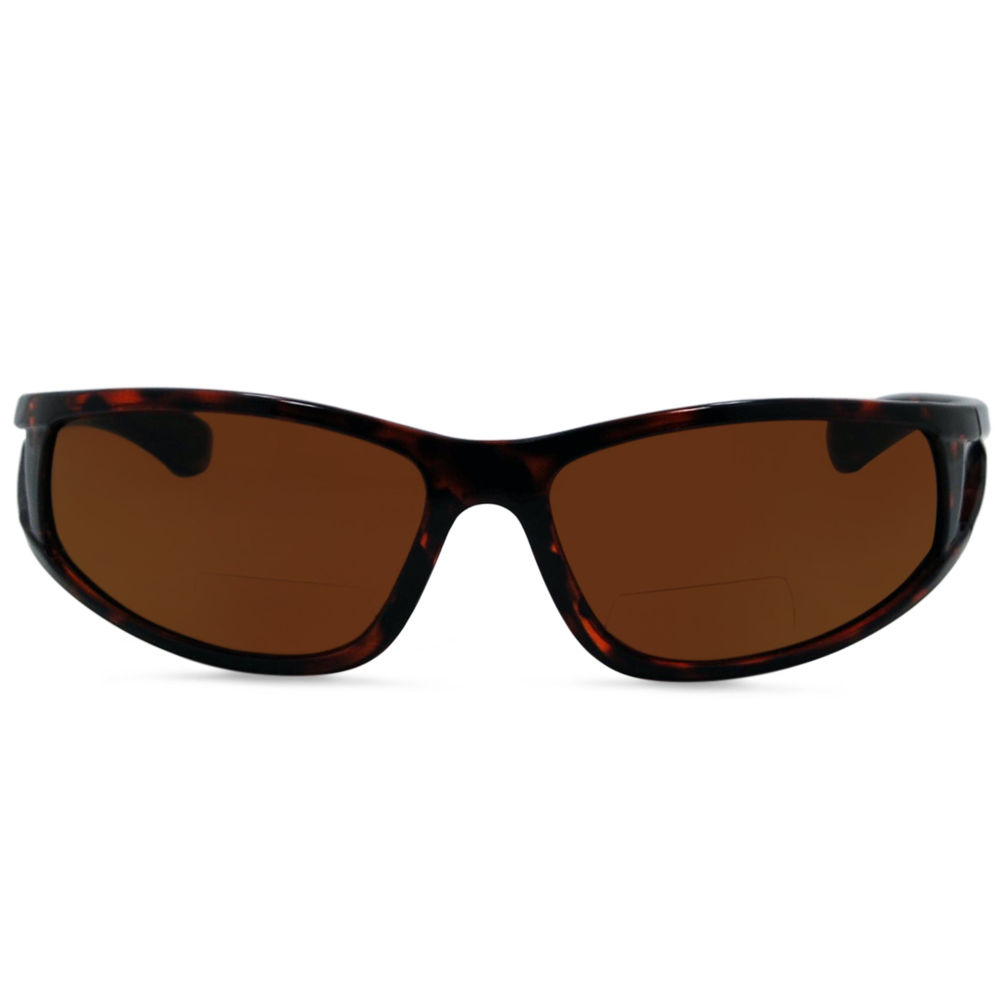 Glossy Tortoise Front