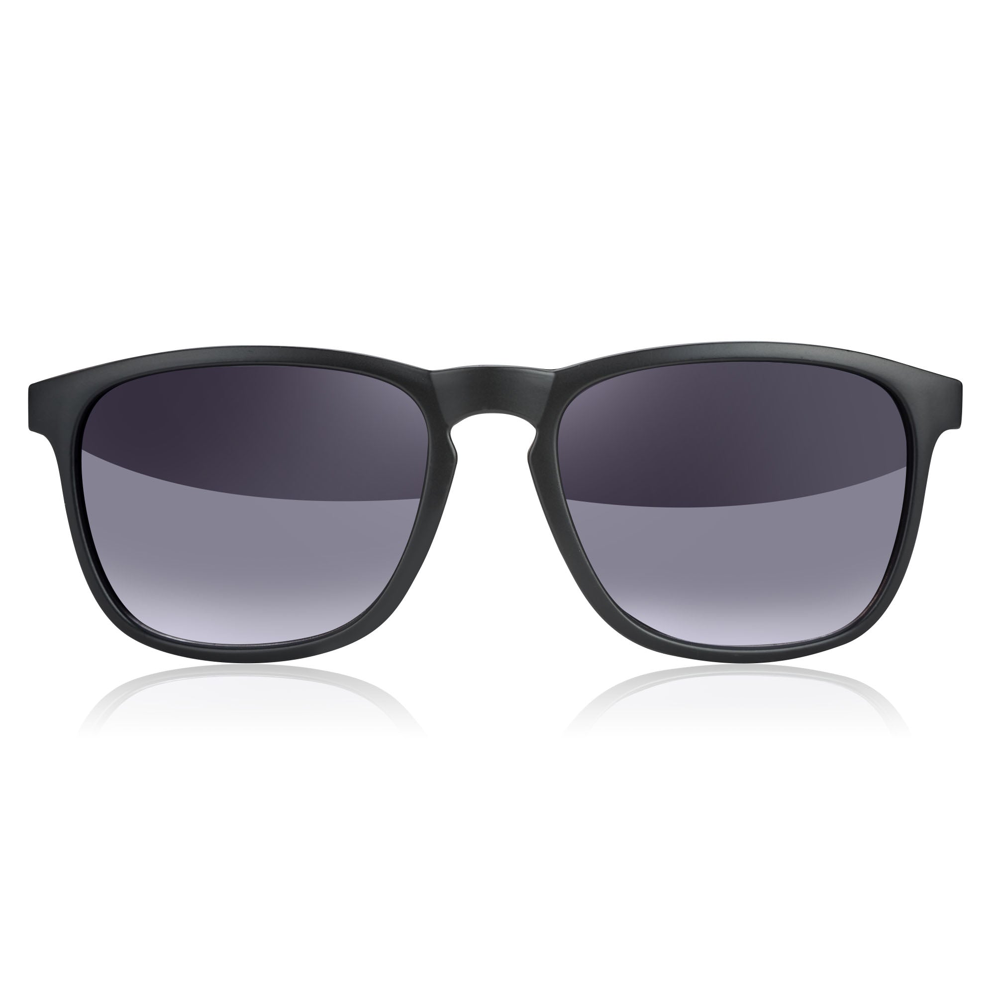Notable Wayfarer Bifocal Sunglasses - CLEARANCE