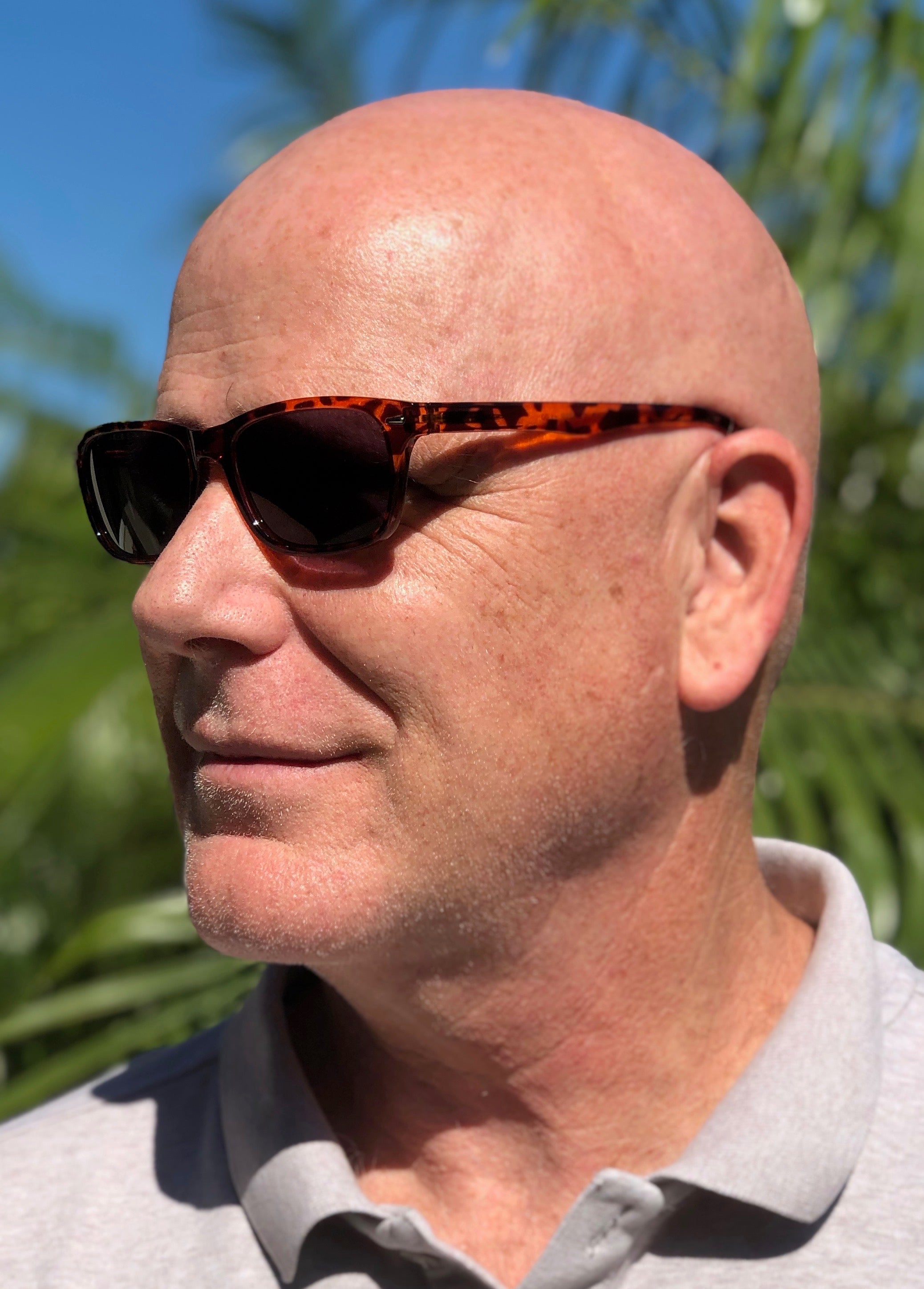 Seymore,  Wayfarer Full Reader Sunglasses, NOT Bifocals - CLEARANCE