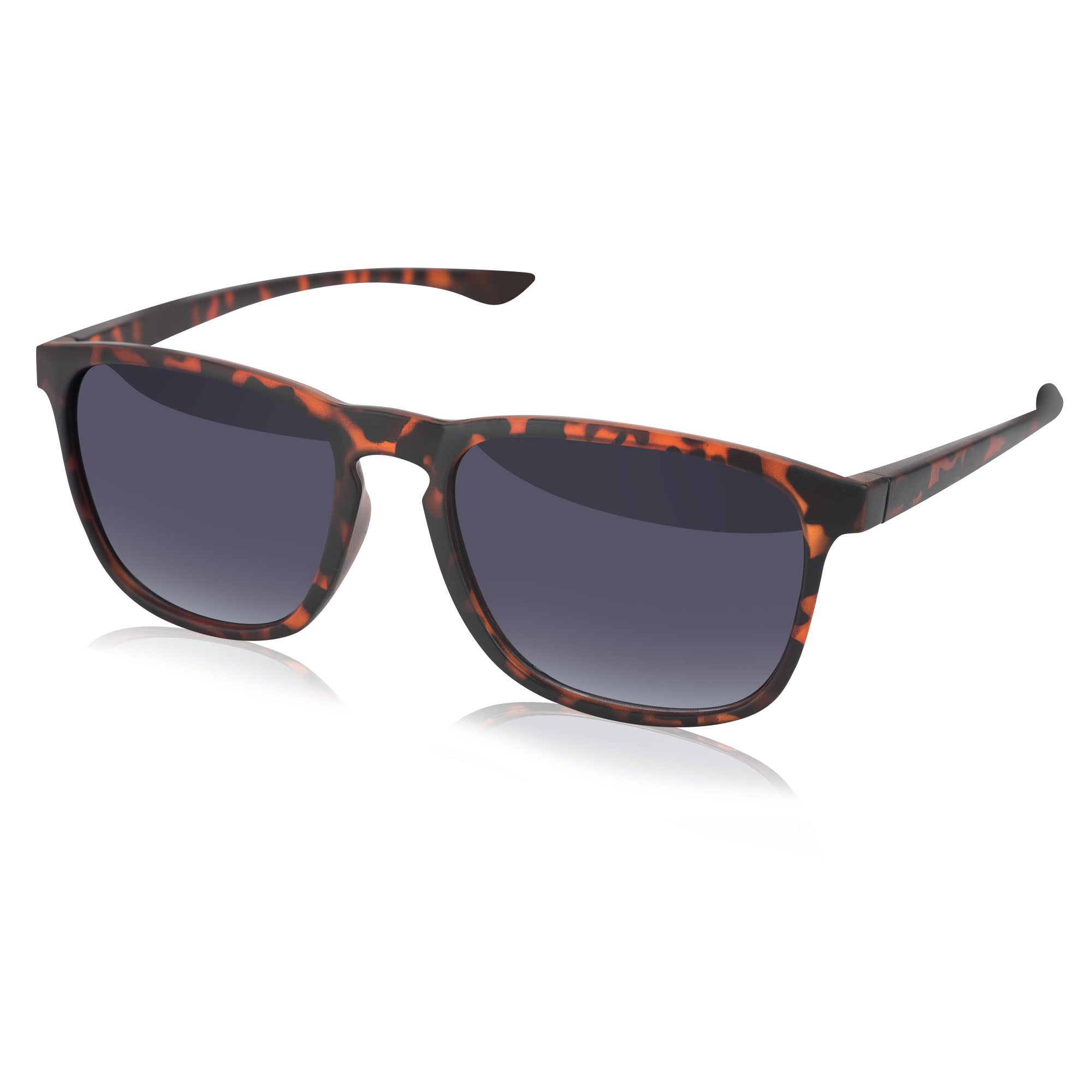 Notable Wayfarer Bifocal Sunglasses - CLEARANCE