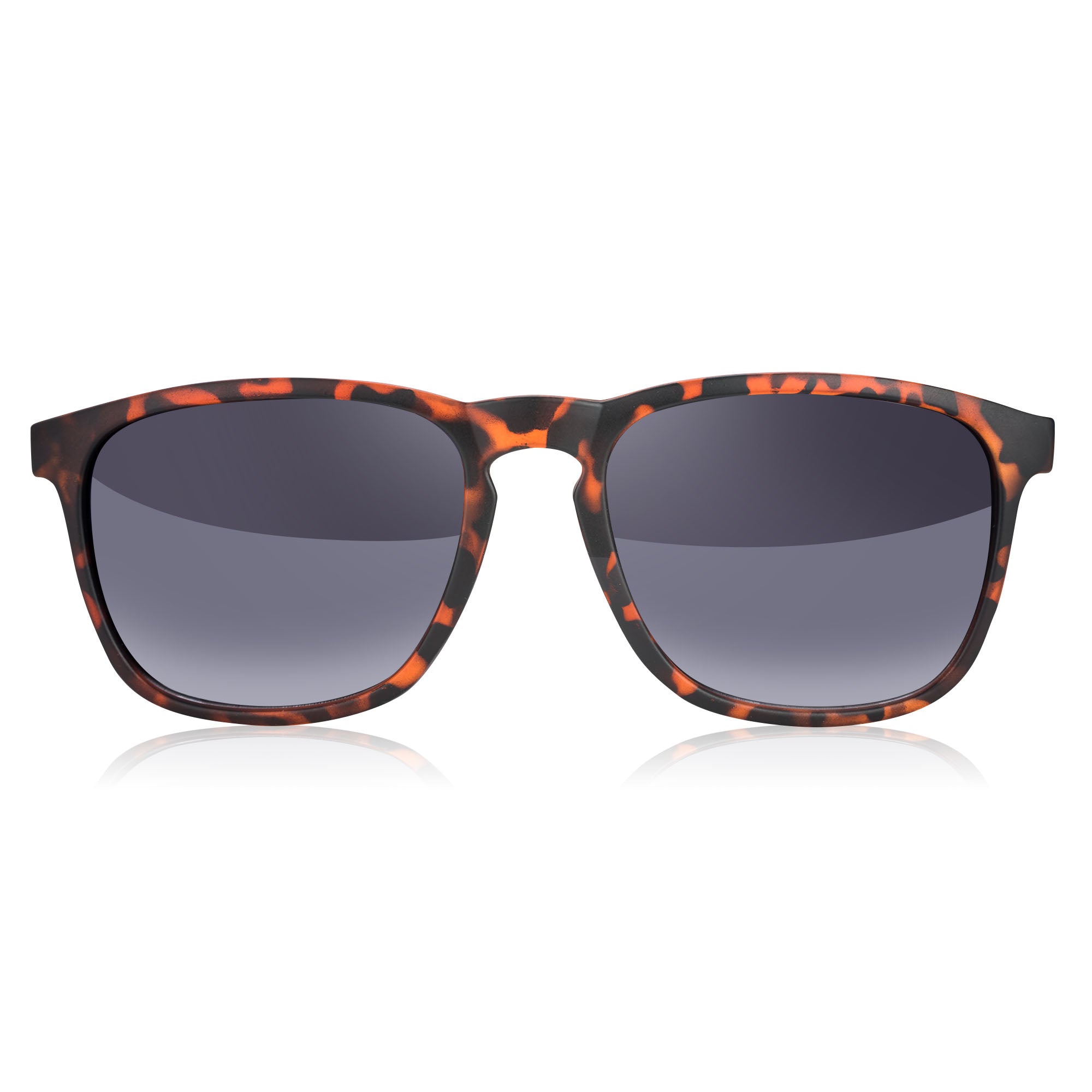 Notable Wayfarer Bifocal Sunglasses - CLEARANCE